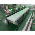 Automatic Bag Food Conveyor CW2000 Check Weigher 3000g For Weight Checking